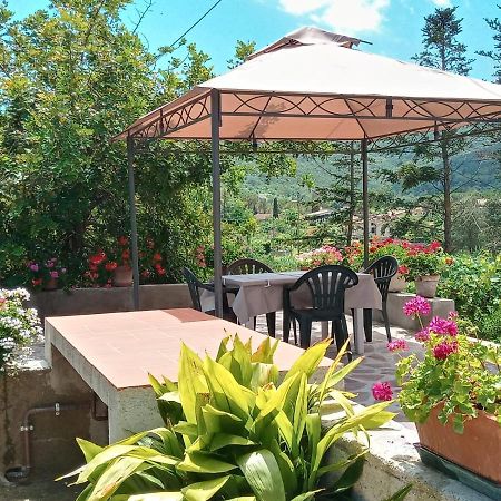 Apartamento Casa Gaia 3 Portoferraio Exterior foto